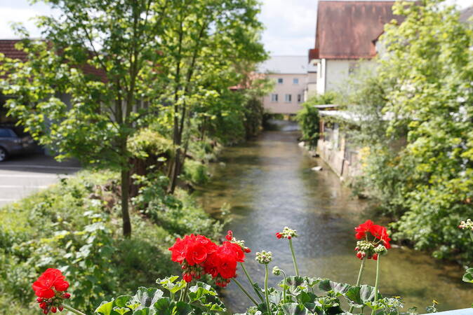 Das Bild zeigt rote Geranien im Vordergrund. Dahinter verläuft ein Fluss, die Erms. Links stehen grüne Bäume und rechts sind weitere Bäume und Häuser zu sehen
