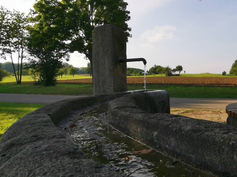 Bild zeigt einen Brunnen aus grauem Stein. Daneben ist eine Sitzbank um einen Baum herum mit Blick ins Grüne 
