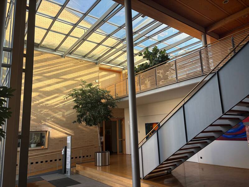 Ein lichtdurchfluteter Innenraum mit einer modernen Treppe, einem Baum, Holzboden und einer gläsernen Decke.