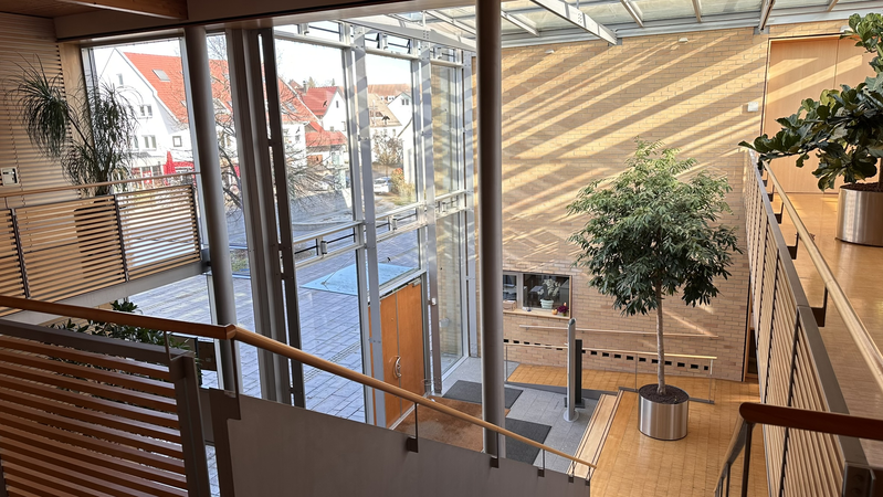 Ein lichtdurchfluteter und moderner Innenraum mit einer Treppe, einem Baum, Holzboden und einer gläsernen Decke.