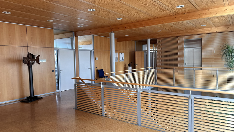 Ein lichtdurchfluteter Innenraum in einem modernen Gebäude mit Holzelementen.