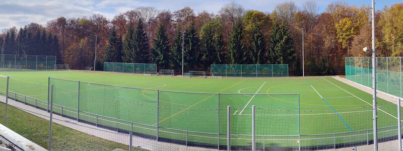 Ein leerer Kunstrasen-Sportplatz mit angrenzendem Wald im Hintergrund.
