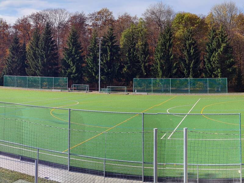 Ein leerer Kunstrasen-Sportplatz mit angrenzendem Wald im Hintergrund.
