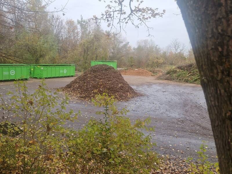 Ein Waldweg mit Laubhaufen und grünen Containern am Rand, umgeben von herbstlicher Vegetation.