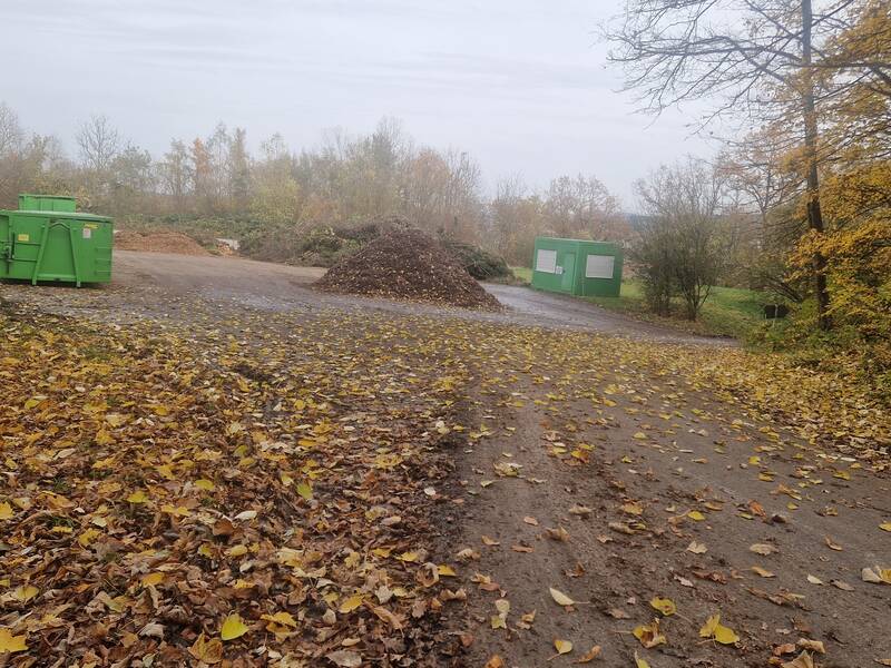 Ein herbstlicher Waldweg mit Laub bedeckt, führt zu einem Platz mit grünen Containern und einem Laubhaufen.